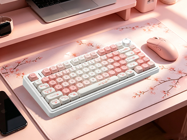 pbt keycaps moa