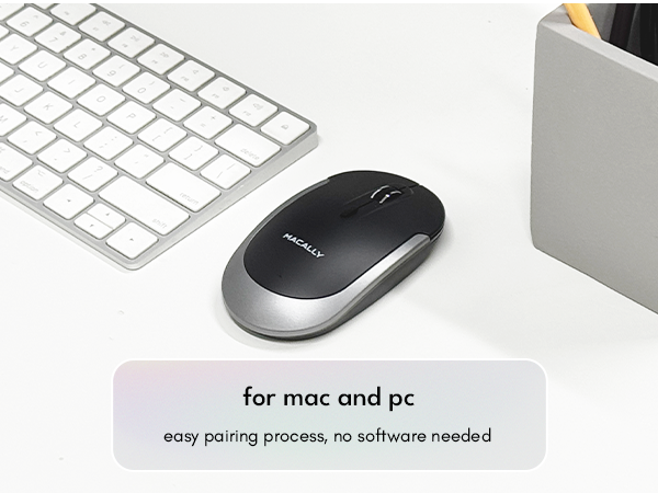 mouse