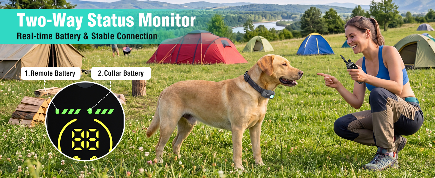 shock collar for small dogs