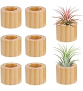 Bigmeta 6 Pcs Wood Air Plant Holder - 1.2" Rustic Style Airplant Display Stands for Women Gifts