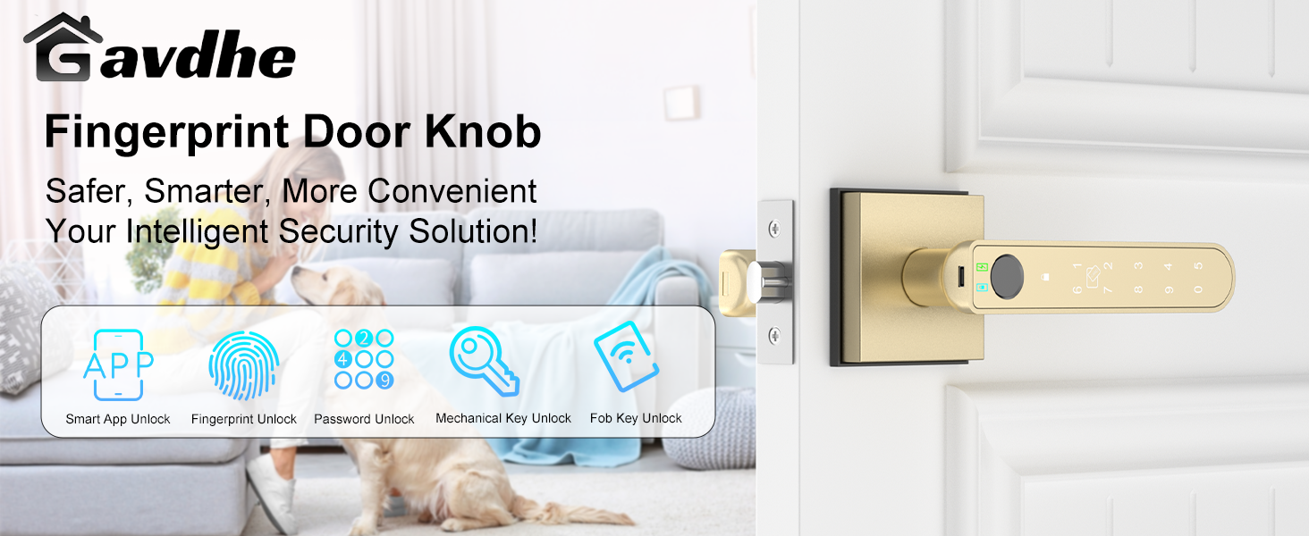 gold fingerprint door lock