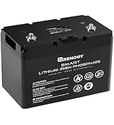 Renogy 12V 100Ah LiFePO4 Deep Cycle Lithium Battery, over 4000 Cycles, Built-in BMS, Backup Power...