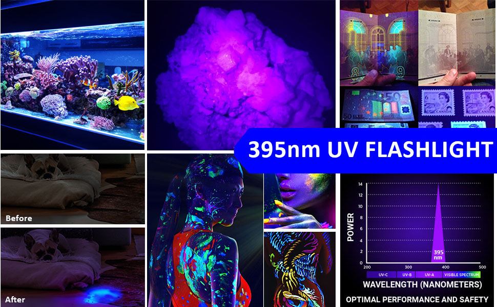 UV Flashlight