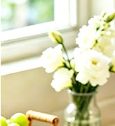 Milk Frother Wand for Coffee