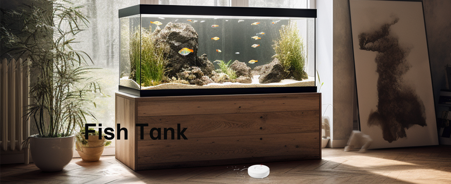 Fish Tank