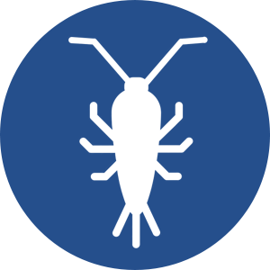 Vetforce