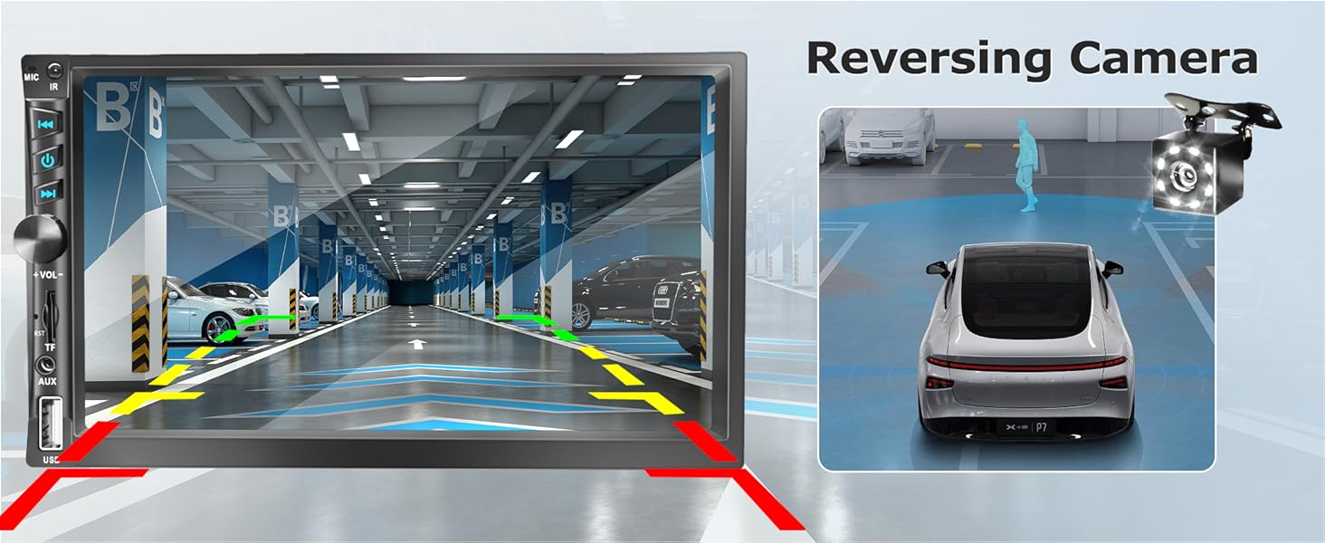 Reversing Camera Input