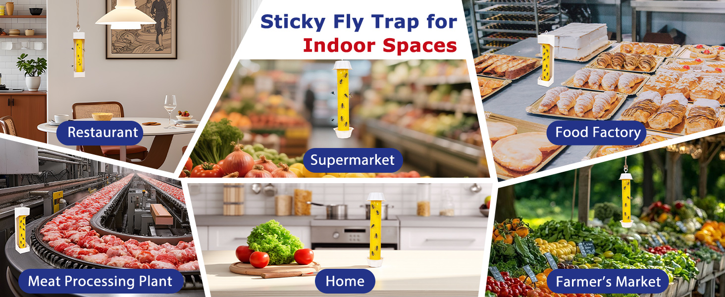 fly traps outdoor
