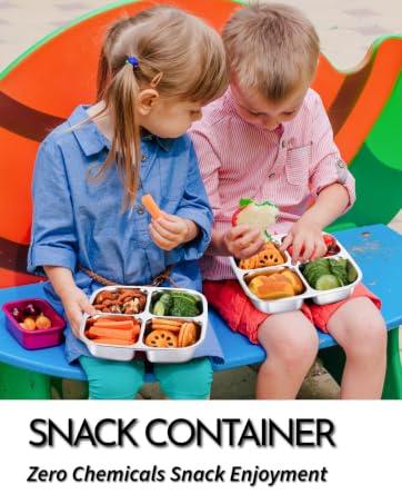 SNACK CONTAINER