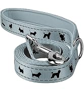 EcoBark Dog Leash - Soft &amp; Reflective Comfort Leash with Padded Handle - Strong Durable Heavy Dut...