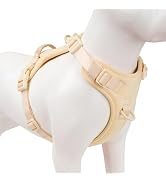 Sunraymascota No Pull Dog Harness, Puppy Vest with Front Clip for Small Medium Large Sized Dog(Li...