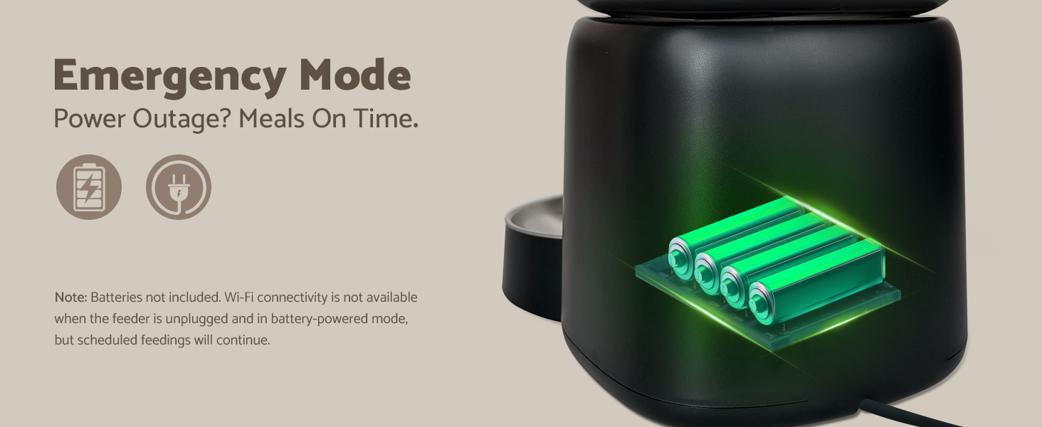 Automatic Cat Feeder