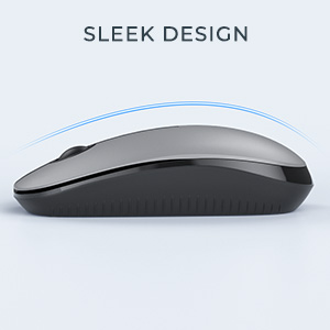 gray mouse