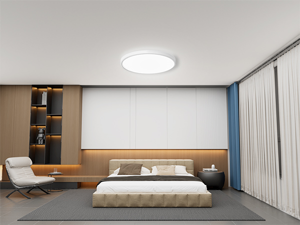 LED Ceiling Light