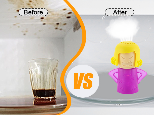 Microwave Cleaner