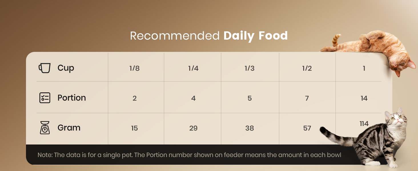 automatic cat feeder