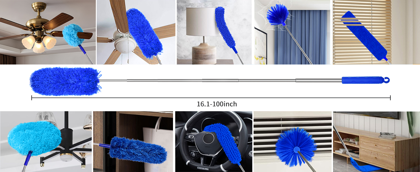 feather duster