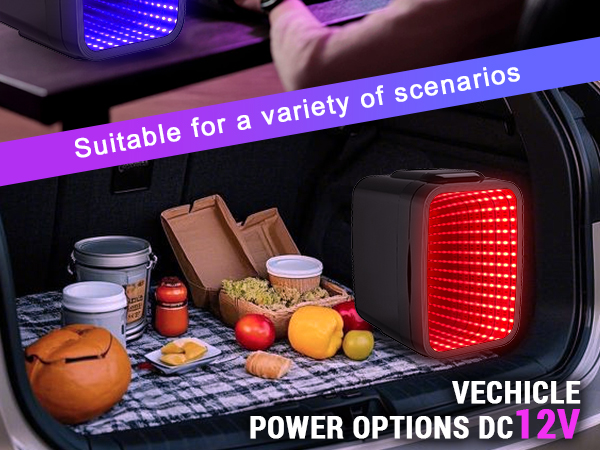 Mini Fridge Small Refrigerator Portable Thermoelectric Cooler and Warmer Fridge