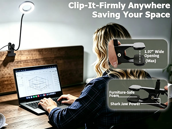 0828-CLIP ON LAMP