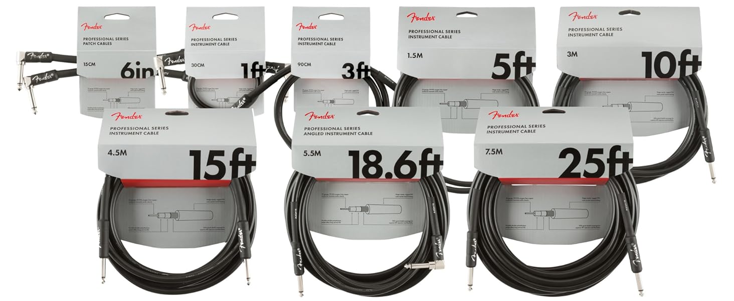 Fender Professional Series