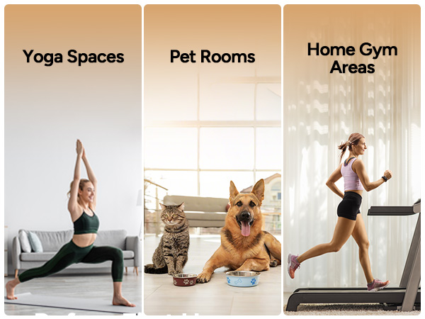 air purifier fot home