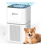 HEPA 14 Air Purifiers for Home Large Room Up to 2200ft², DAYETTE Air Purifiers for Bedroom with A...