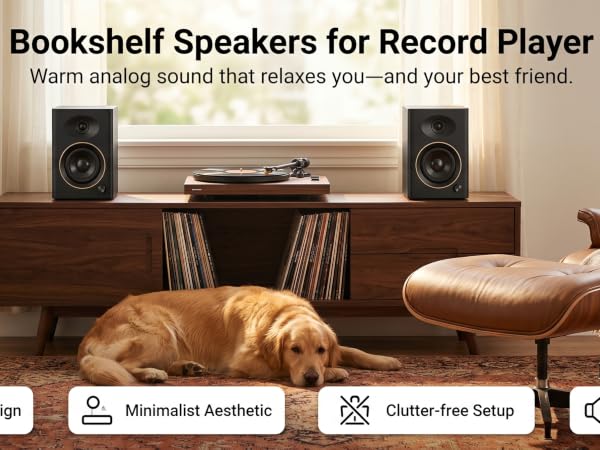 bookshelf speakers for record player