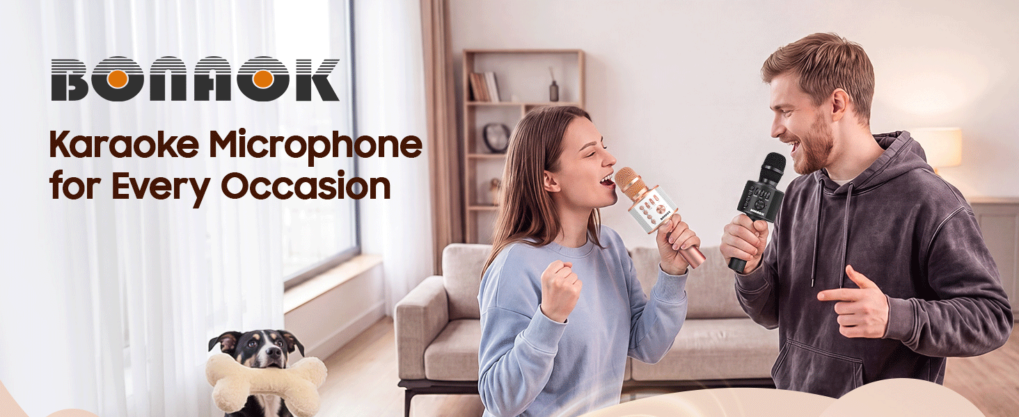 karaoke microphone