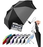 LILAC Windproof Travel Umbrella for Rain - 43" Auto Open Close 8-Rib Compact, Stylish Color Block...