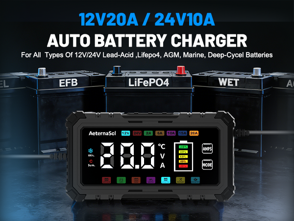 lifepo4 battery charger 20a