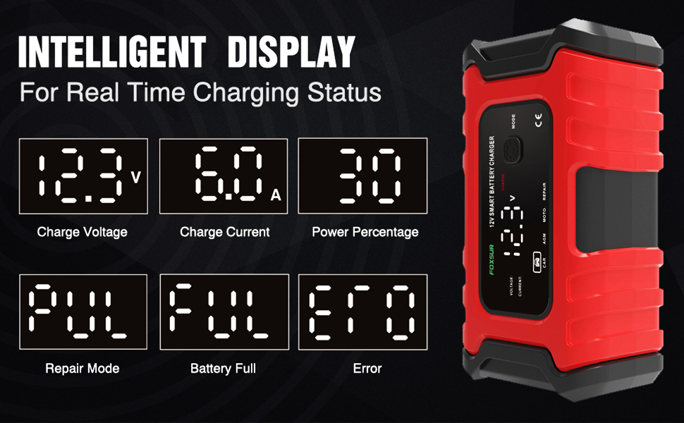 intelligent battery charger