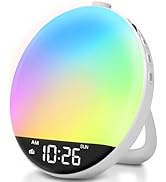 DreamSky Digital FM Radio with Bluetooth Speaker and Sleep Timer for Kids Adults, Hi-Fi Clear Lou...