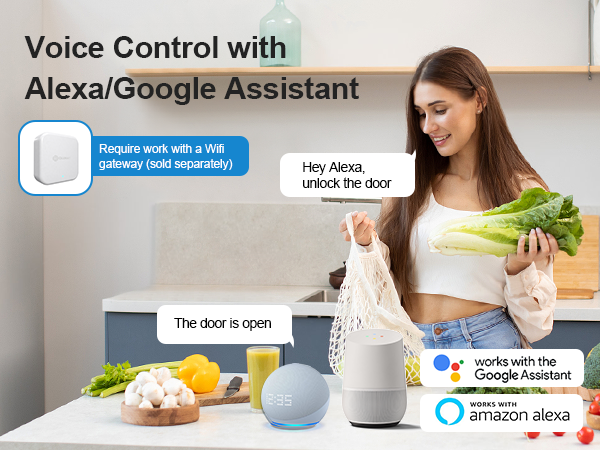 work with alexa