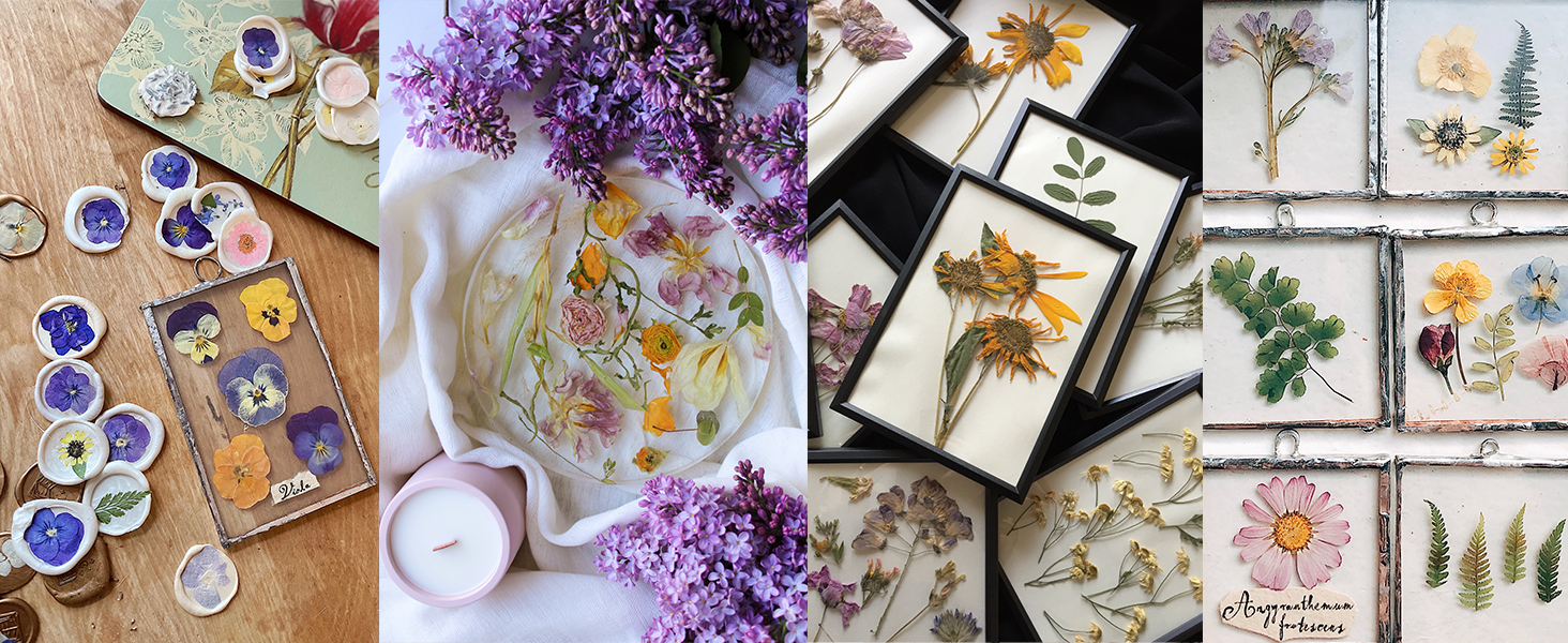 Pressed Flowers