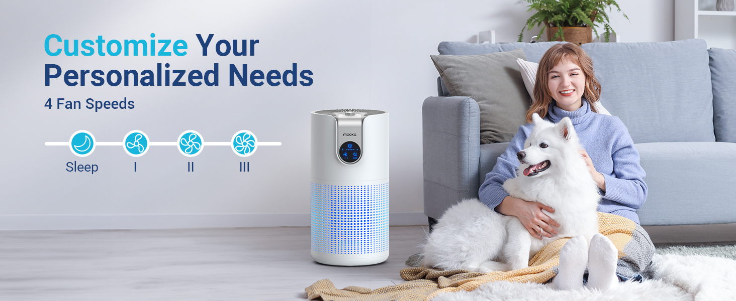 Air purifiers for home large room