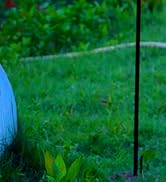 Solar Flame Hanging Lights