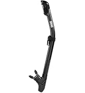 Aegend Diving Dry Snorkel for Adult &amp; Youth - Snorkeling Gear with Top Dry Valve for Snorkeling, ...
