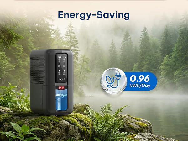 Dehumidifier