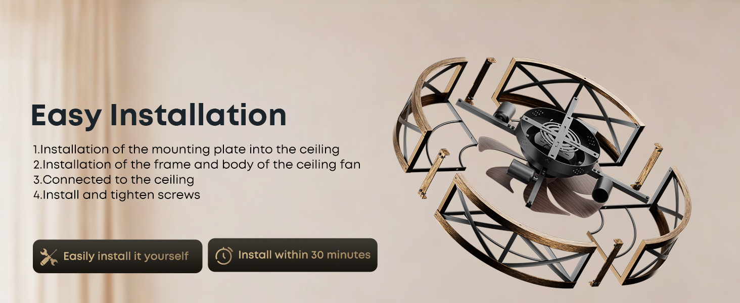 Caged Ceiling Fan with Light and Remote