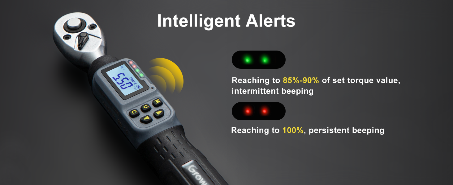 bike digital torque wrench