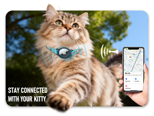 airtag collar cat