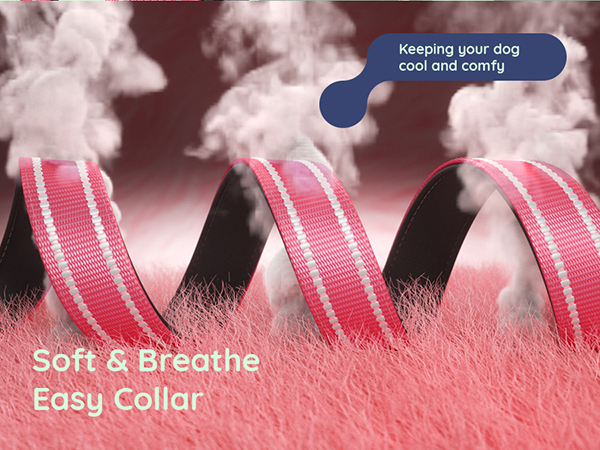 Dog collar