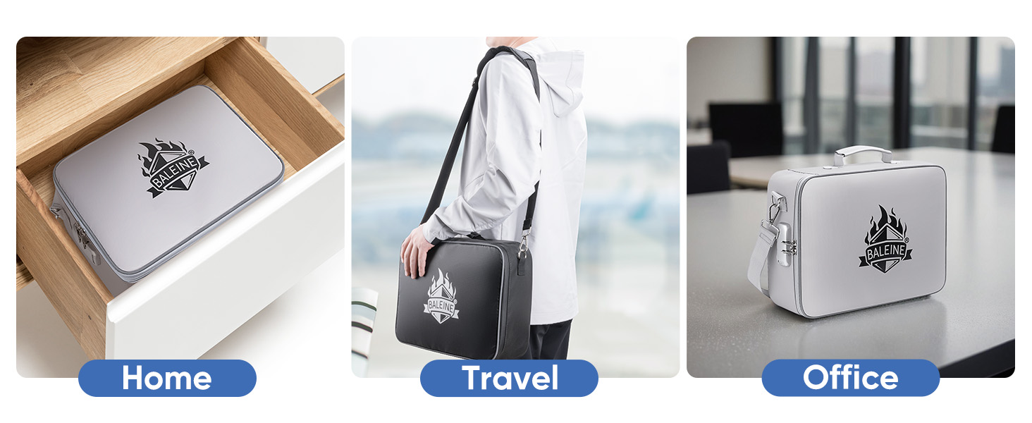 fireproof document bag