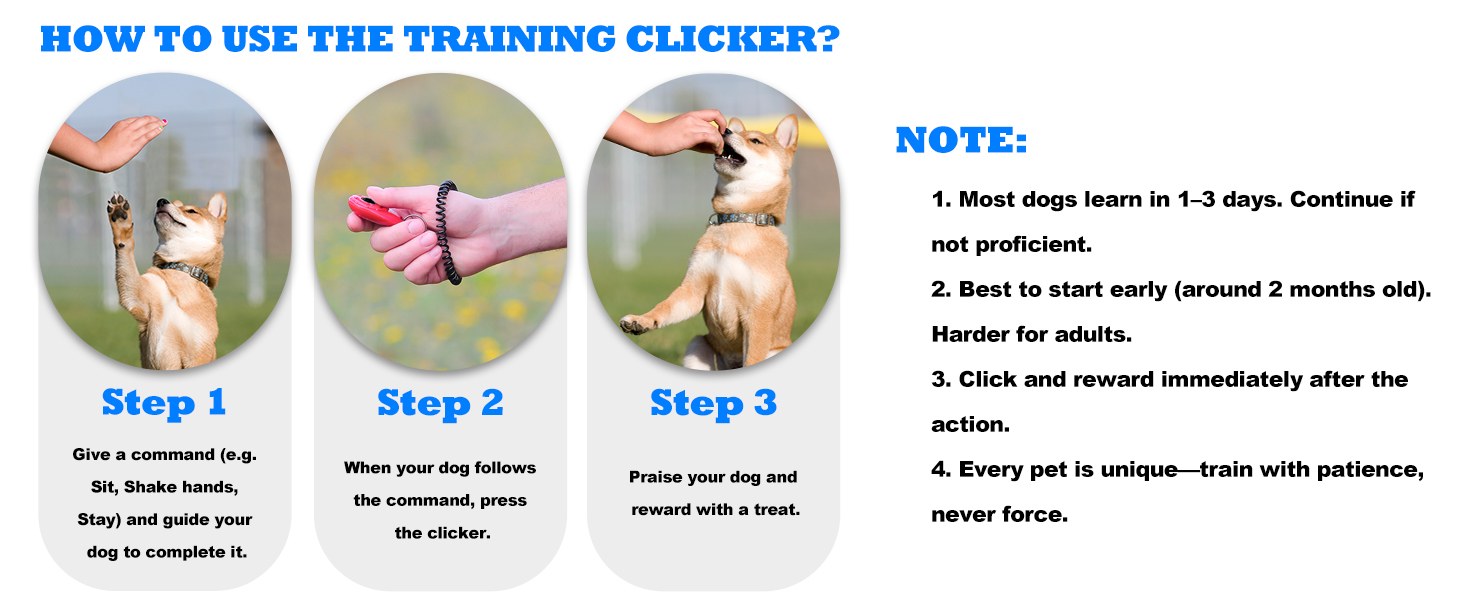 dog training clicker