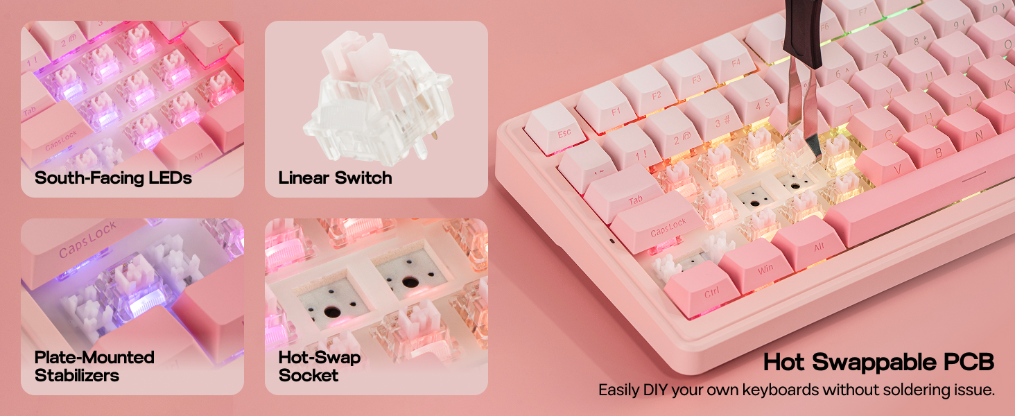 F99 Pink