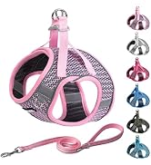 AIITLE Extra Small Dog Harness - Step in Vest Harness with A Leash, Reflective Bands, Soft Breath...