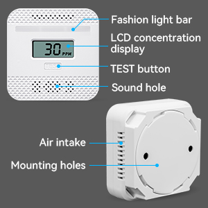 portable carbon monoxide alarm