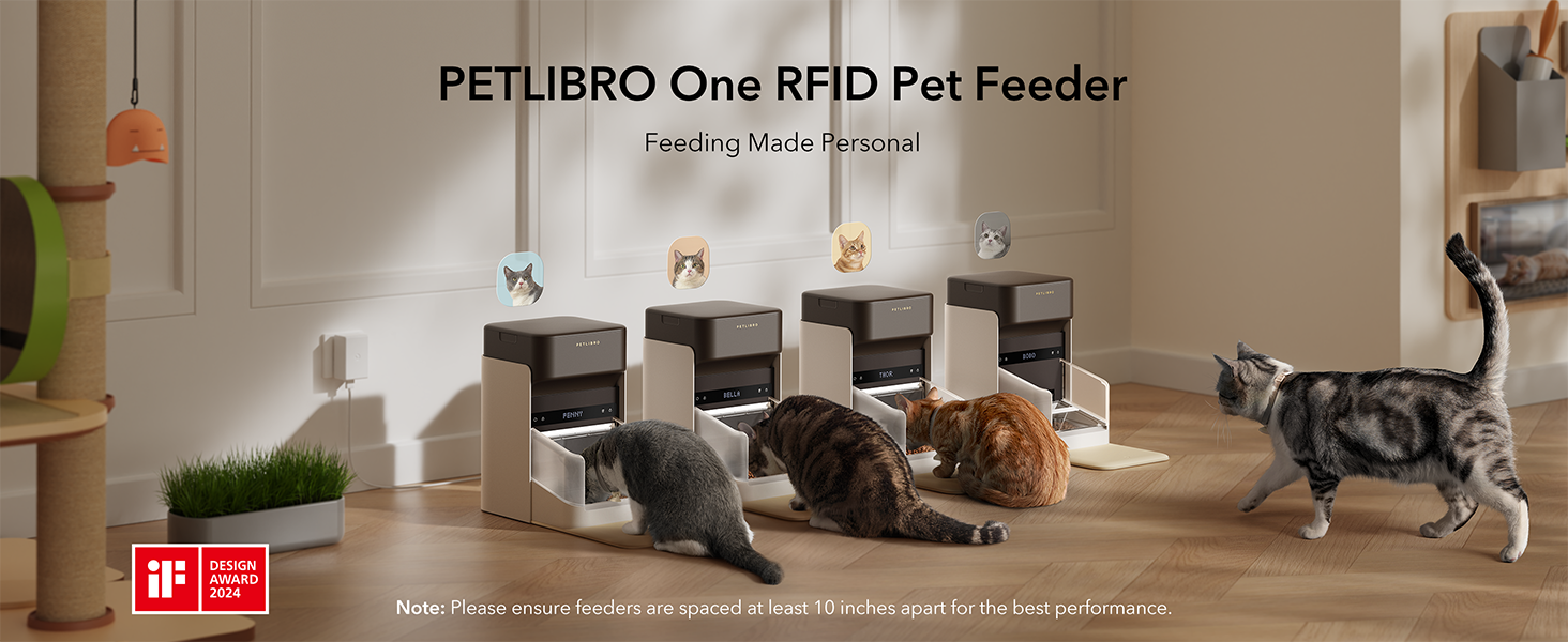 automatic cat feeder