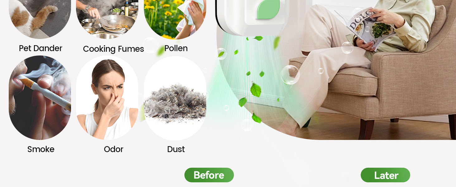 Negative Ion Air Purifier