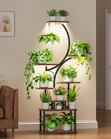 https://m.media-amazon.com/images/S/aplus-media-library-service-media/6017d7f8-8fe9-47f5-aea2-d86ce5551f86.__CR0,0,362,453_PT0_SX362_V1___.jpg